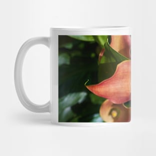 Red calla flowers closeup Mug